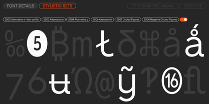 TT Norms Pro Font Poster 15