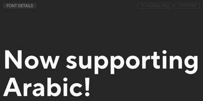 TT Norms Pro Font Poster 3