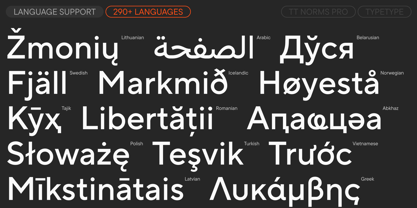 TT Norms Pro Font Poster 7