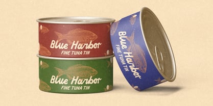 Vintage Rustborn Font Poster 10