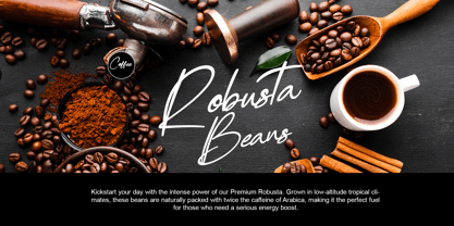 Marlinah Beauty Font Poster 4