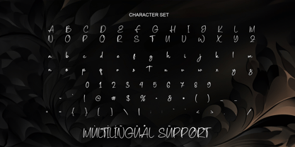 Marlinah Beauty Font Poster 9