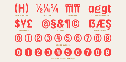 Ageris Font Poster 4