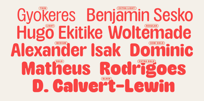 Ageris Font Poster 9