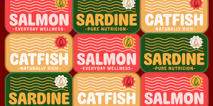 Ageris Font Poster 5