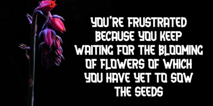 Arena Sky Font Poster 5