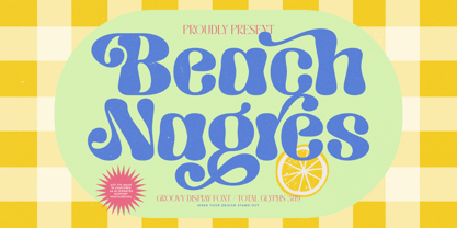 Beach Nagres Font Poster 1