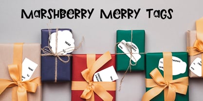 PN Marshberry Merry Font Poster 9