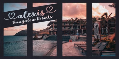 Shelby Script Font Poster 6