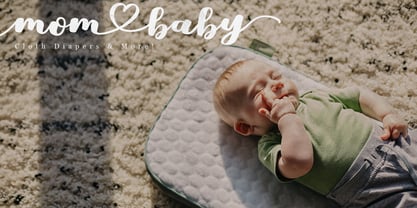 Shelby Script Font Poster 8