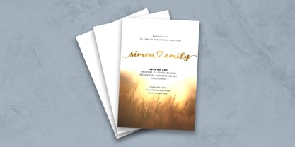 Shelby Script Font Poster 4