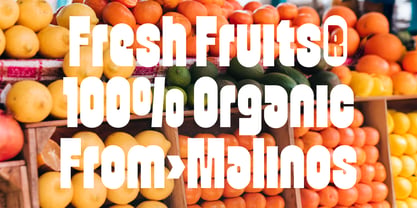 Veggie Font Poster 9