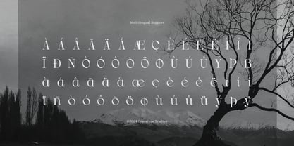 Drogel Font Poster 11