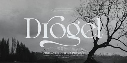 Drogel Font Poster 1