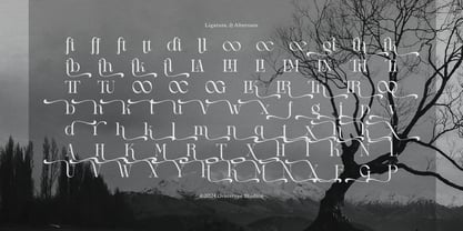 Drogel Font Poster 12
