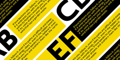 JH Arapis pro Font Poster 6
