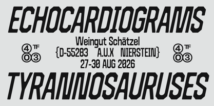 403 Code Fuzz Font Poster 9