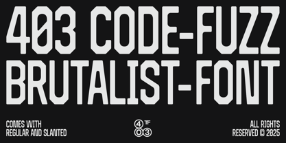 403 Code Fuzz Font Poster 1
