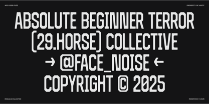 403 Code Fuzz Font Poster 8