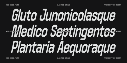 403 Code Fuzz Font Poster 11