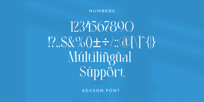RS Kegson Font Poster 10