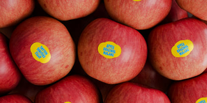 Wonky Dongki Font Poster 8