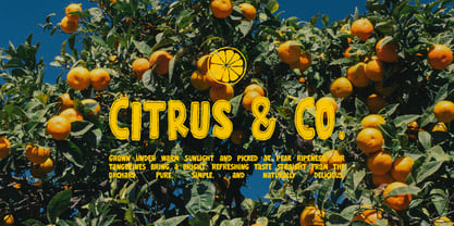 Wonky Dongki Font Poster 5