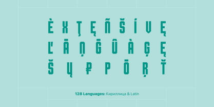 Shkola Font Poster 3