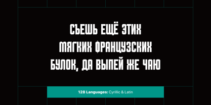 Shkola Font Poster 14