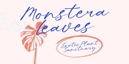 Blushing Touch Font Poster 5