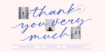 Blushing Touch Font Poster 15