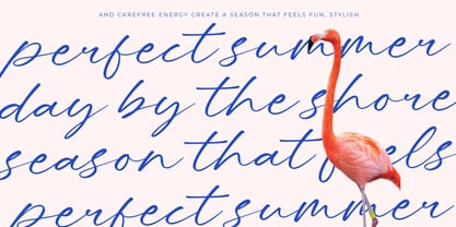 Blushing Touch Font Poster 3