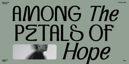 Dx Sillage Font Poster 8