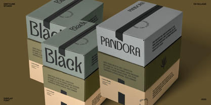 Dx Sillage Font Poster 13