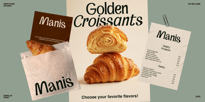 Dx Sillage Font Poster 15