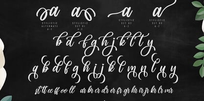 Asttuty Font Poster 7