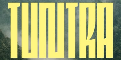 Edgar Kombat Font Poster 3