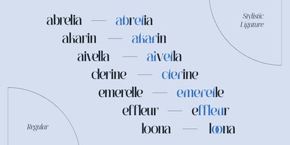 Agremail Modern Font Poster 14