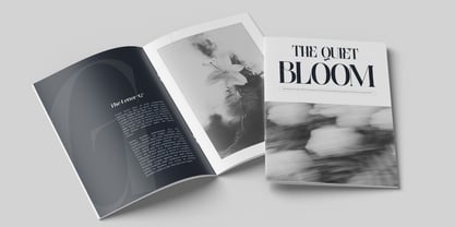 Agremail Modern Font Poster 11