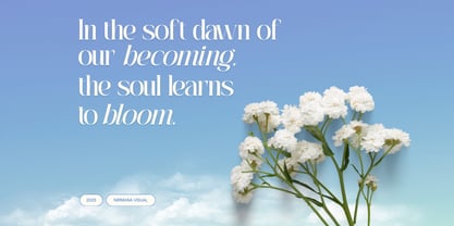 Agremail Modern Font Poster 12