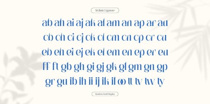 Agremail Modern Font Poster 15