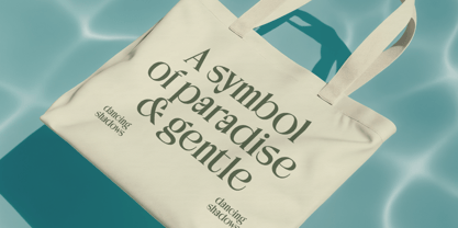 Kanoffe Dramed Font Poster 12