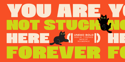 Uneko Bold Font Poster 3