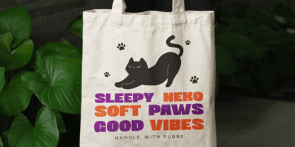 Uneko Bold Font Poster 6