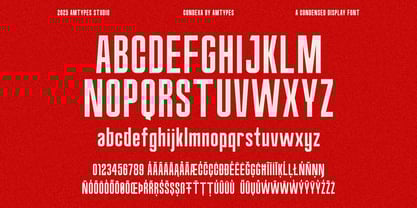 Condura Font Poster 4