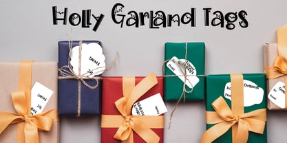 PN Holly Garland Font Poster 9