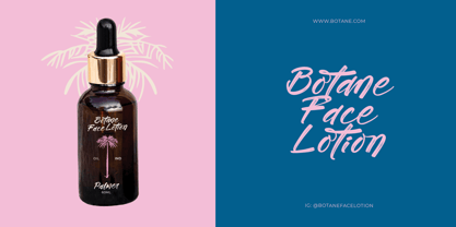 Tropics Sometimes Font Poster 12