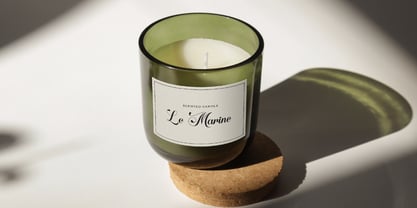 Aloffine Scriptura Font Poster 8