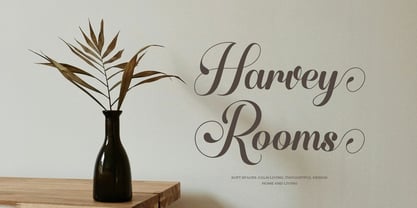 Aloffine Scriptura Font Poster 5