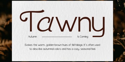 Benomore Font Poster 4